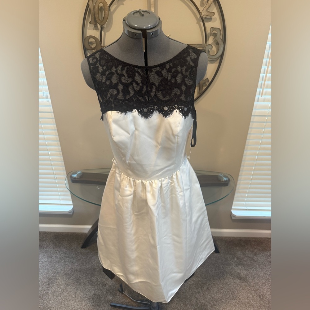 Elegant Black and White Lace Dress by Alfred Sung Size 10 Sample NWT